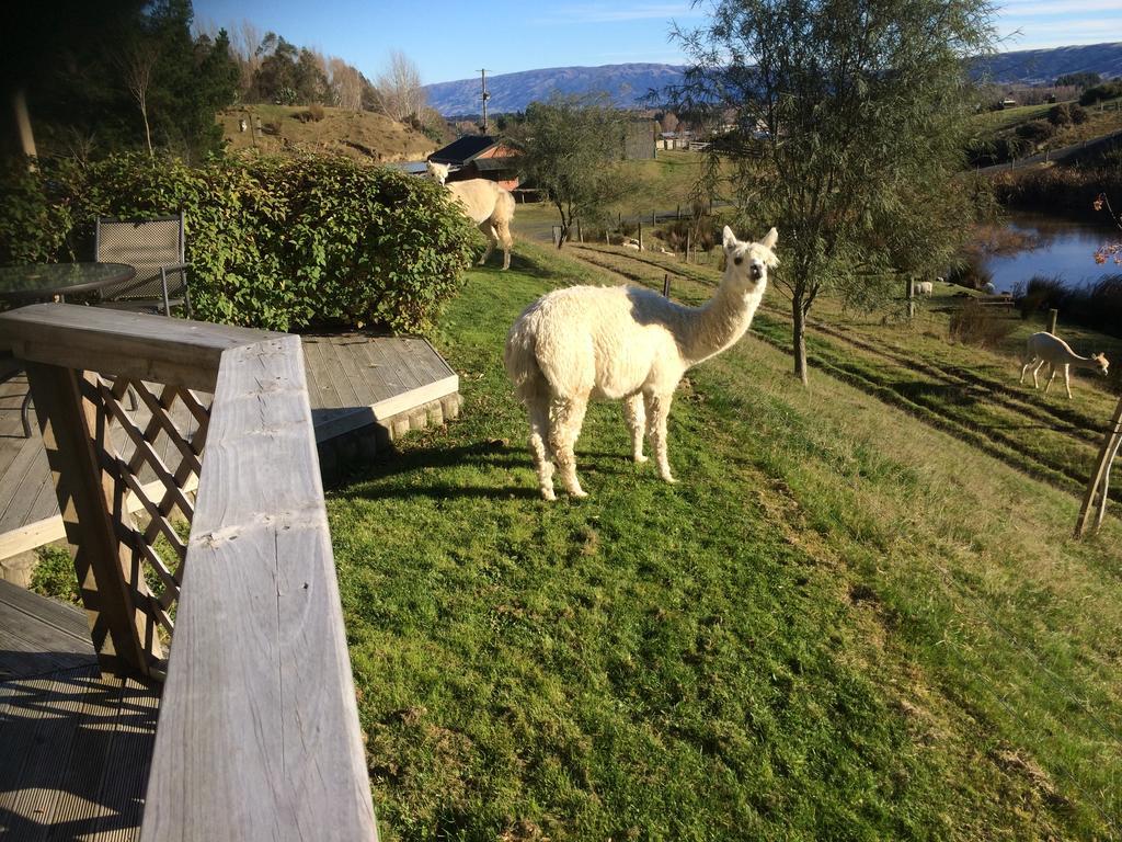 Villa Hunters Moon Mosgiel Exterior foto